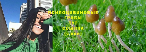 МДПВ Майский